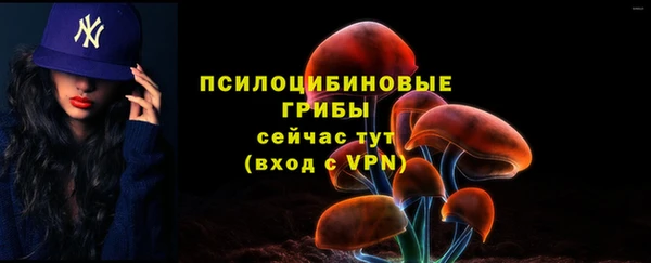 ешки Абаза