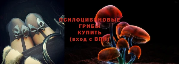 ешки Абаза