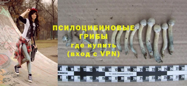 ПСИЛОЦИБИНОВЫЕ ГРИБЫ Абинск